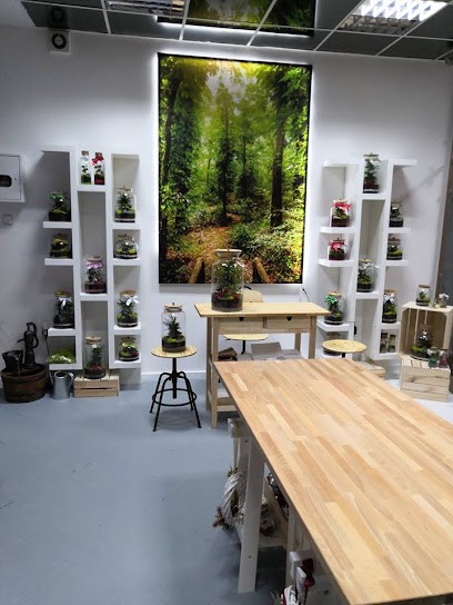 Ania Ptak Pracownia Florystyczna i Kwiaciarnia, Kwiaciarnia w Elbląg