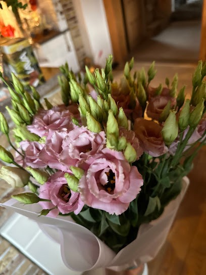 Stokrotka. Kwiaciarnia. Jaksender M., Kwiaciarnia w Olsztyn