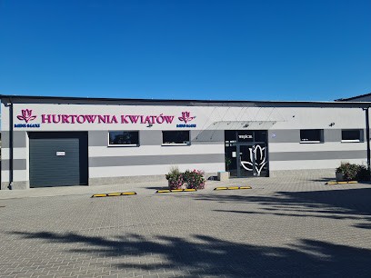 Mini-Maxi Hurtownia Kwiatów J. Macioszek, Kwiaciarnia w Stargard