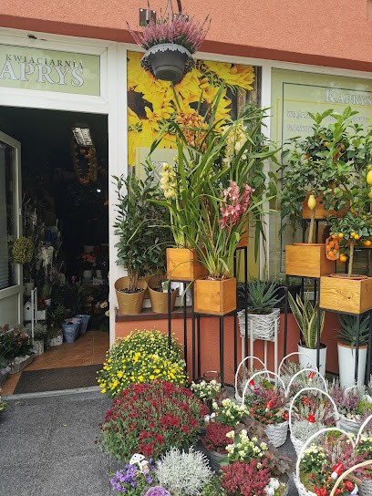 Kwiaciarnia Kaprys, Kwiaciarnia w Nowogard