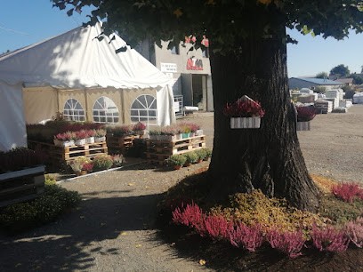 Kwiaciarnia Kosko, Kwiaciarnia w Miedźna