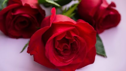 Kwiaciarnia Kwiatowy Zakątek, Kwiaciarnia w Kostrzyn Nad Odrą