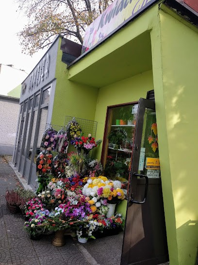 Kwiaciarnia Irys Bojarska Anna, Kwiaciarnia w Kędzierzyn-Koźle