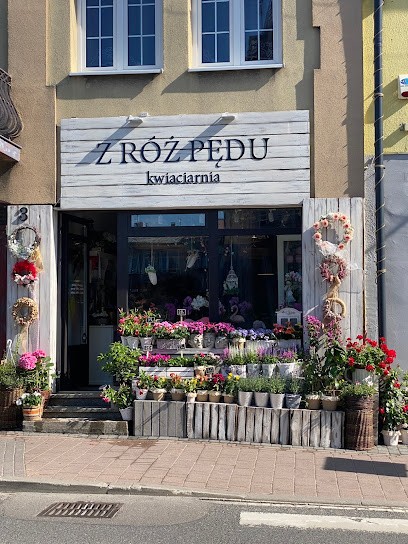 Z róż pędu, Kwiaciarnia w Skała