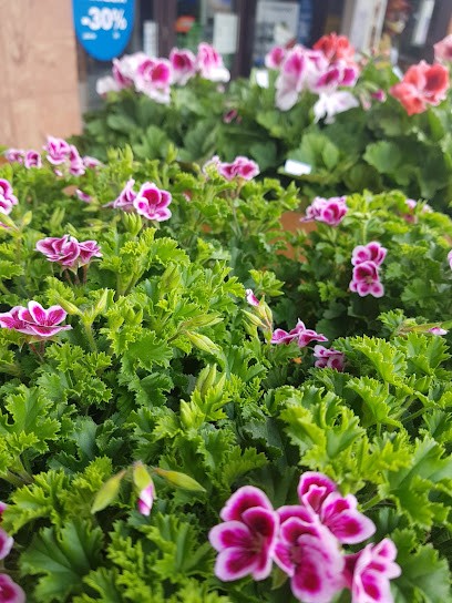 Kwiaciarnia Floris - Barlinek, Kwiaciarnia w Barlinek