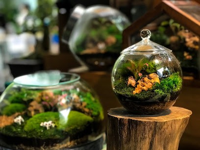 Green Living Glass, Kwiaciarnia w Warszawa