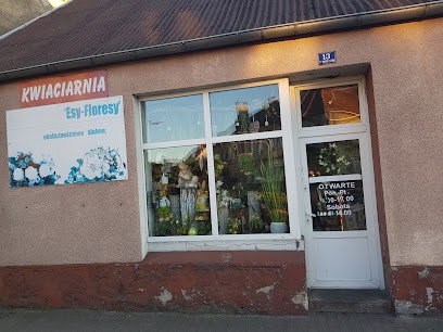 Esy-Floresy. Kwiaciarnia. Donajkowska M., Kwiaciarnia w Ujście