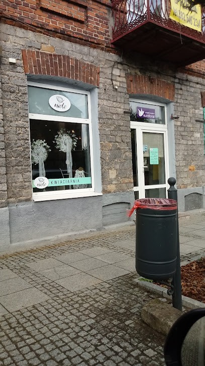 Kwiatek. PPHU. Banaszczyk A., Kwiaciarnia w Szydłowiec