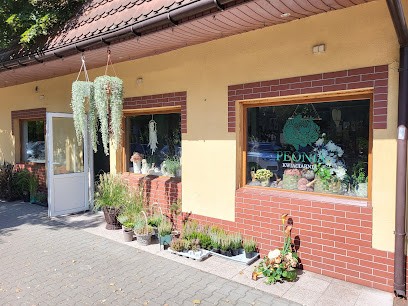 Kwiaciarnia Peonia, Kwiaciarnia w Kępno