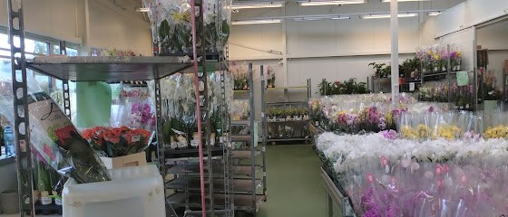 Jmp Flowers, Kwiaciarnia w Warszawa