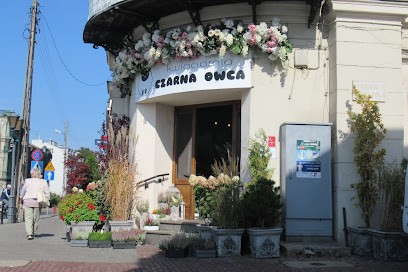Kwiaciarnia Czarna Owca Wiązanki Dekoracje Bukiety, Kwiaciarnia w Piotrków Trybunalski