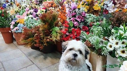 Cyprys. Kwiaciarnia, Kwiaciarnia w Werbkowice