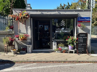 My Little Forest SHOWROOM, Kwiaciarnia w Warszawa