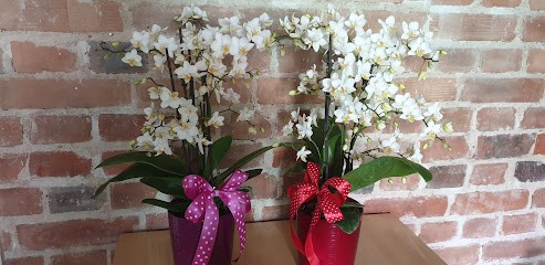 Jonda, Kwiaciarnia w Gliwice