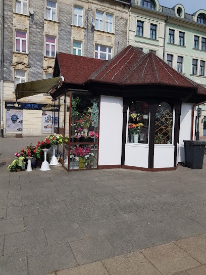 Annabel, Kwiaciarnia w Krąków