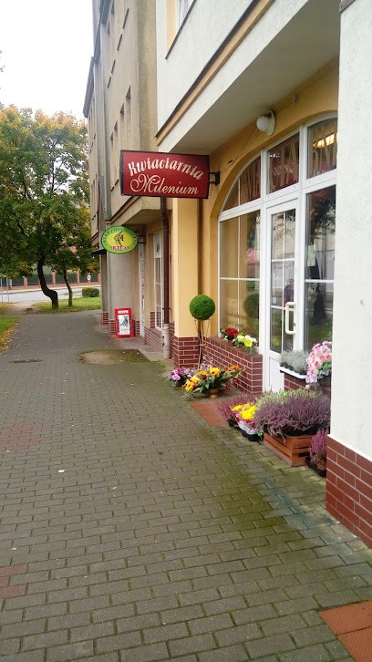 Milenium. Kwiaciarnia. Dajnowska M., Kwiaciarnia w Braniewo