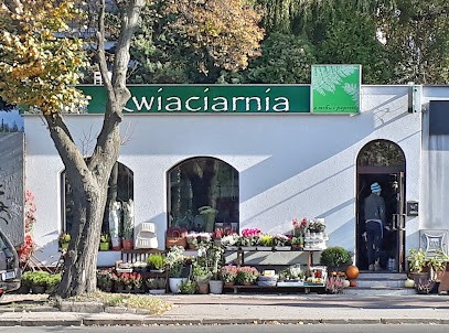 Kwiaciarnia z Mchu i Paproci, Kwiaciarnia w Gdynia