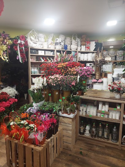 Finezja. Kwiaciarnia. Rutkowska J., Kwiaciarnia w Białystok