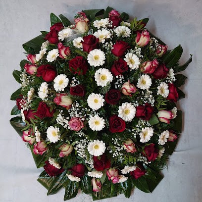 Clivia Wholesale Flowers, Kwiaciarnia w Szczecin