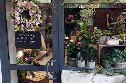 Kwiaciarnia Różyczka, Kwiaciarnia w Zamość