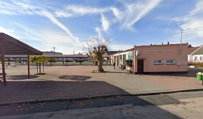 Roskosz Zofia. Kwiaciarnia, Kwiaciarnia w Nowe Miasto Nad Pilicą