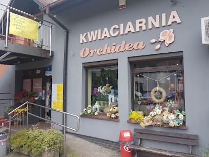 Orchidea, Kwiaciarnia w Rudy