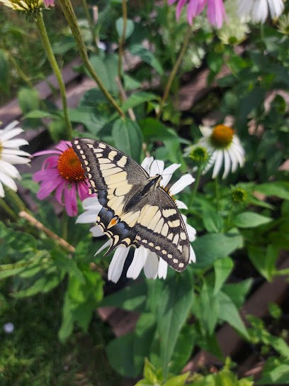 Bylinowo Ewa Czerwonka, Kwiaciarnia w Władysławów