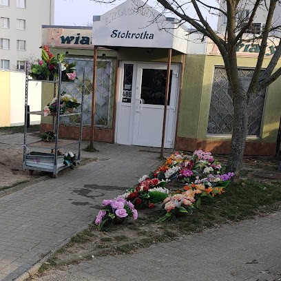 Kwaciarnia Stokrotka, Kwiaciarnia w Lubin