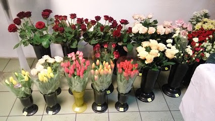 Kwiaciarnia „Orchidea”, Kwiaciarnia w Zgierz