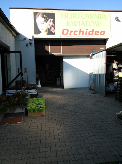 Hurtownia Kwiatów Orchidea Hurt,detal, Kwiaciarnia w Gliwice