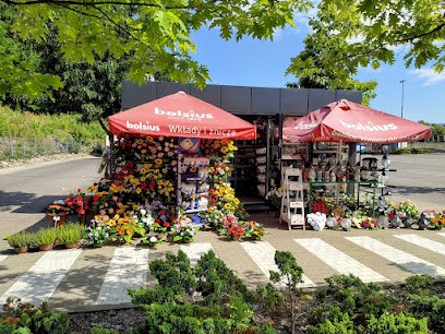 Kwiaty żywe i sztuczne, Kwiaciarnia w Nowy Sącz