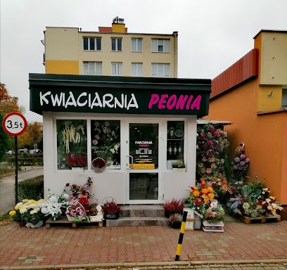 Kwiaciarnia Peonia, Kwiaciarnia w Zamość