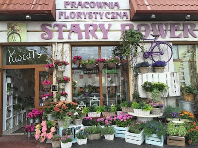Pracownia Florystyczna Stary Rower Kwiaciarnia Kwiaty, Kwiaciarnia w Tczew