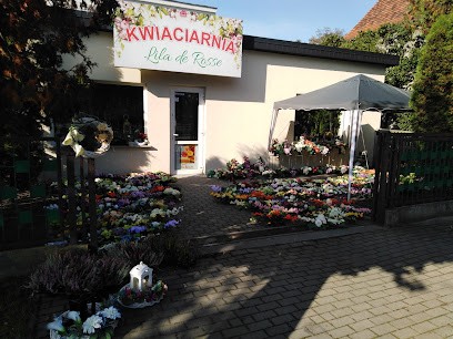 Lila de Rosse, Kwiaciarnia w Jarocin