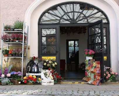 Kwiaciarnia Flower Box Kwiaty Bukiety ślubne Wieńce Pogrzebowe, Kwiaciarnia w Sandomierz