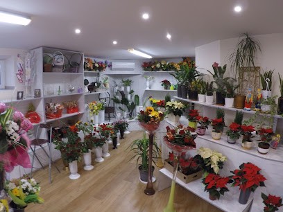 Kwiaciarnia ROSA Pradelok Piotr, Kwiaciarnia w Lubliniec