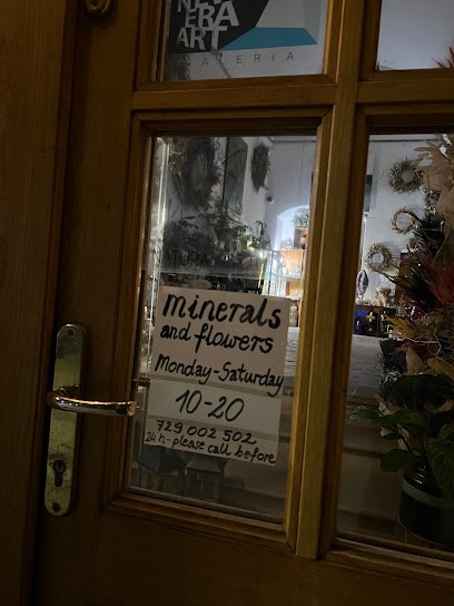 Flowers On The Phone, Kwiaciarnia ,kwiaty, Kwiaciarnia w Krąków