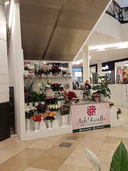 Ach! Kwiatki, Kwiaciarnia w Wrocław