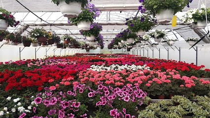 Gospodarstwo Ogrodnicze Mierzejewscy, Kwiaciarnia w Dzbenin