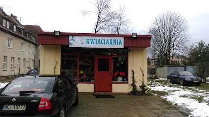 Kwiaciarnia Krokus, Kwiaciarnia w Ciechanów