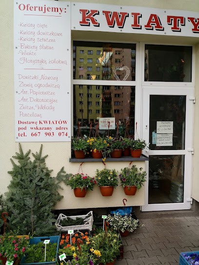 KWIACIARNIA U MAŁGOSI, Kwiaciarnia w Dąbrowa Górnicza