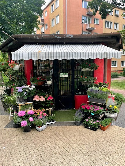Kwiaciarnia AMELIA Anna Jaguś, Kwiaciarnia w Ożarów Mazowiecki