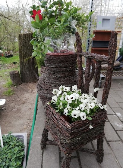 Kwiaciarnia Dzika Różaw Kroczewie, Kwiaciarnia w Kroczewo