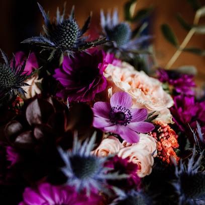 Mój Świat - Pracownia Florystyczna Katarzyna Kuznecka, Kwiaciarnia w Płock