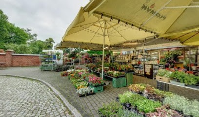 Stachurska Lidia. Kwiaciarnia, Kwiaciarnia w Ostrów Wielkopolski