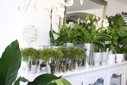 Kwiaciarnia/pracownia florystyczna Bukietnik, Kwiaciarnia w Wołów