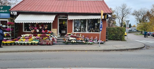 Kwiaciarnia NIEZAPOMINAJKA ABiMs.c.Anna Basińska Marcin Basiński, Kwiaciarnia w Nowy Dwór Gdański