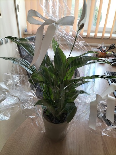 Kwiaty U Beaty, Kwiaciarnia w Piekary Śląskie