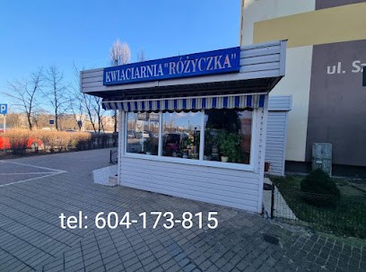 Kwiaciarnia Różyczka - Małgorzata Czyżniewska, Kwiaciarnia w Toruń