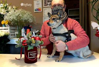 Kffiaty, Kwiaciarnia w Warszawa